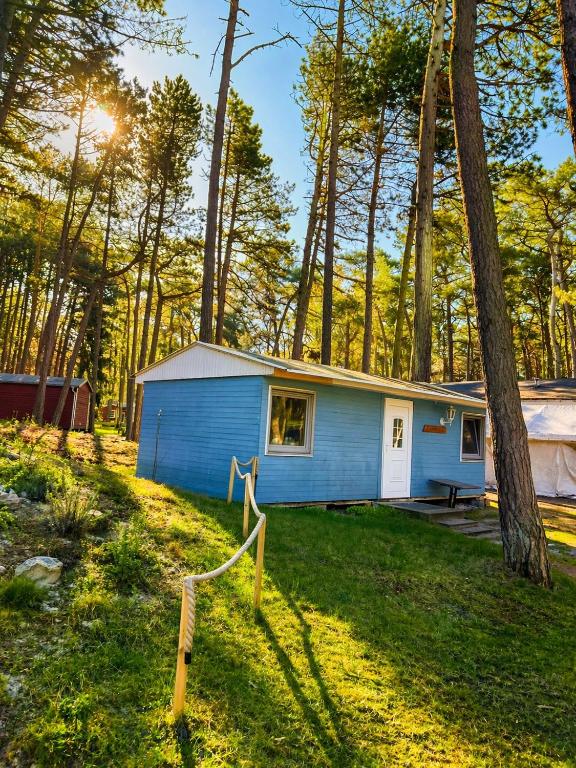 a blue house in the middle of the forest at Feriensiedlung Schwalbennest - Bungalows in Dranske