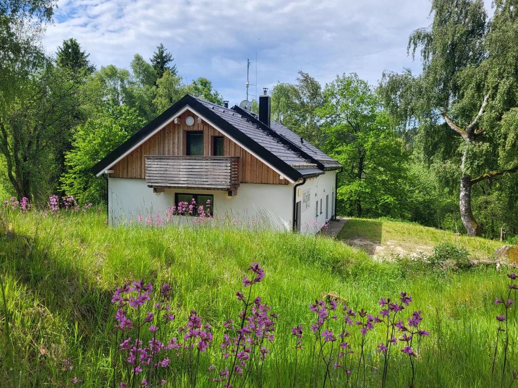 a small house on a grassy hill with purple flowers at Chalet Pasečná Apartments in Přední Výtoň