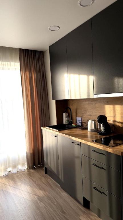 a kitchen with a sink and a counter top at Kopa9 in Palanga