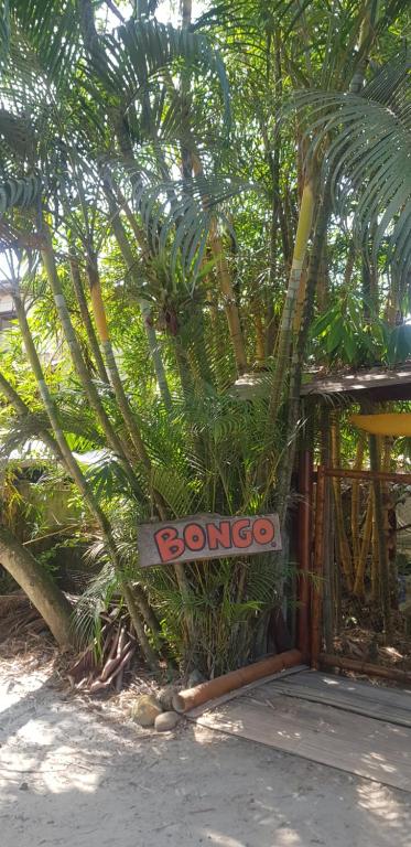Vor einigen Bäumen steht ein Schild mit der Aufschrift „Bongoco“. in der Unterkunft Bongosurfcamp in Mompiche