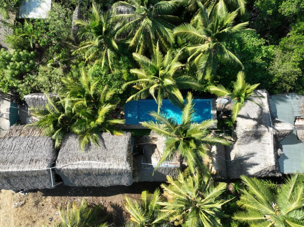 an aerial view of a resort with palm trees at El Puente in El Paredón Buena Vista