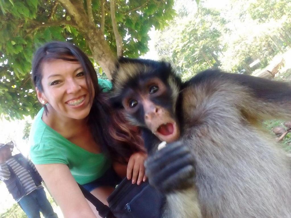 Zdjęcie z galerii obiektu Avatar Amazon Lodge & Canopy Park w mieście Santa Teresa