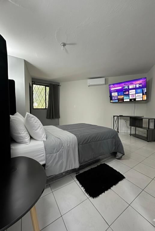 a bedroom with a bed and a tv on the wall at Casa Moderna, Ubicación Estrategjca in Cedro