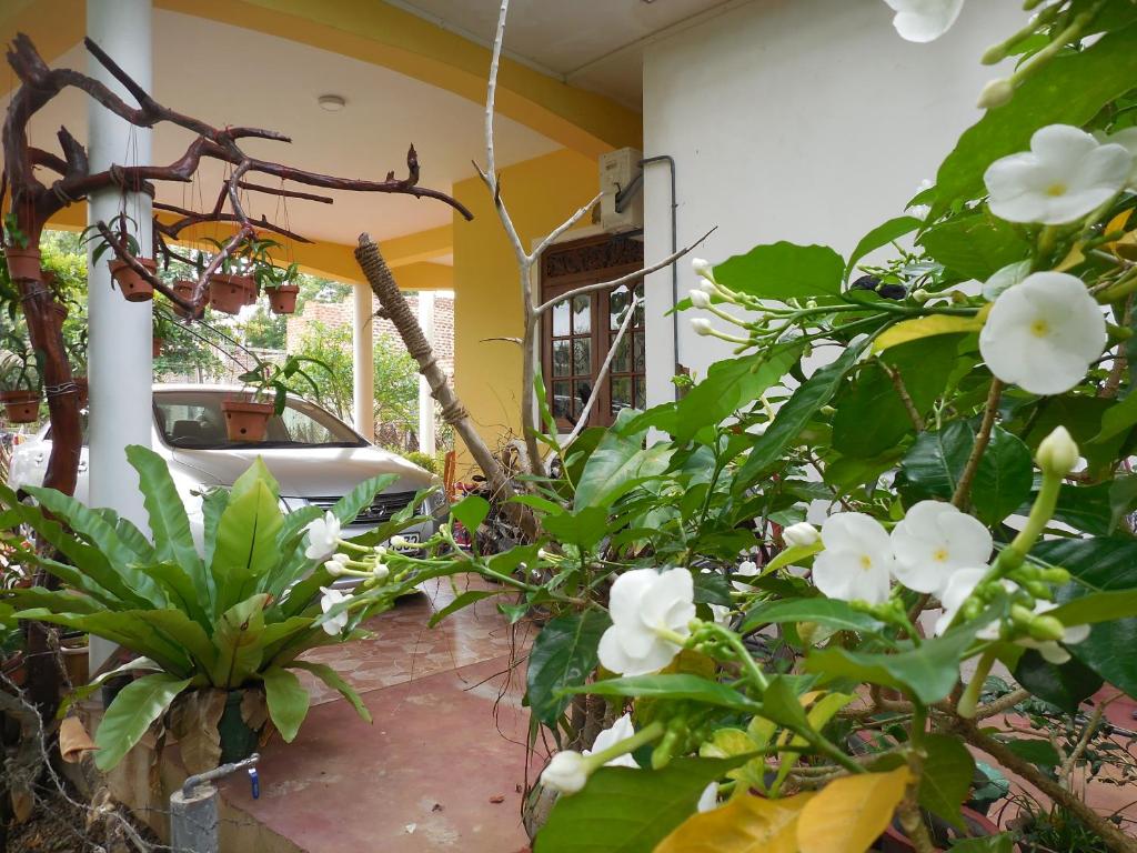 Zahrada ubytování Diyawara Home Stay