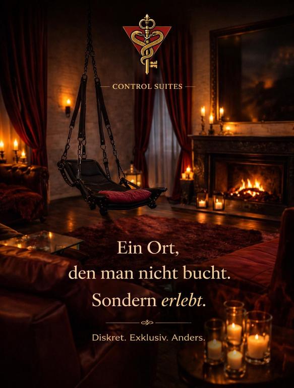 a room with a swing in front of a fireplace at Red Silence I Design Suite im Koblenz in Bendorf