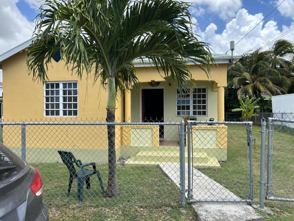 a palm tree in front of a house with a fence at Cozy Cottage in Woods