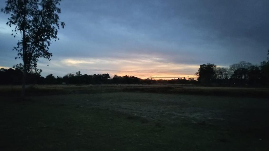 a field with a tree and the sunset in the background at Atithi home stay and Cloud Kitchen in Ayodhya