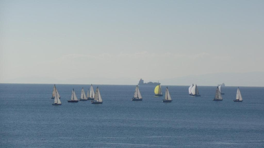 Cavo D' Oro - Resim 13