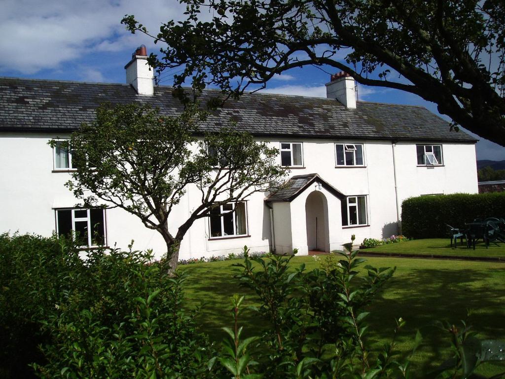 Una casa blanca con un árbol delante. en Granary at Tyddyn Isaf, en Ruthin