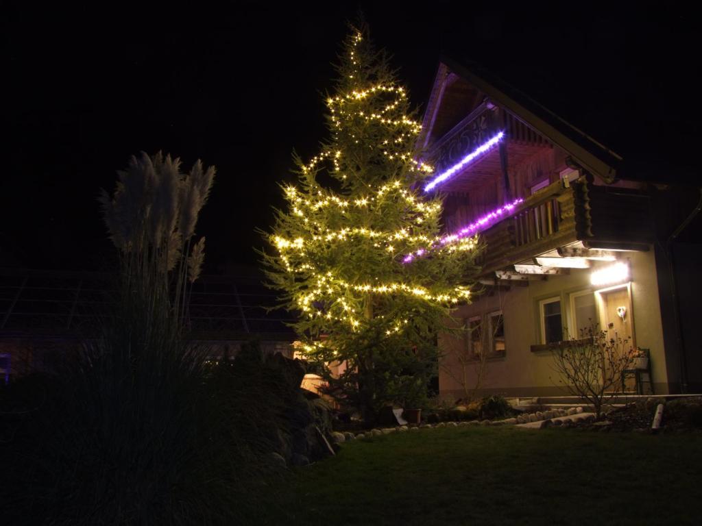 Zahrada ubytování Apartments Čebelica