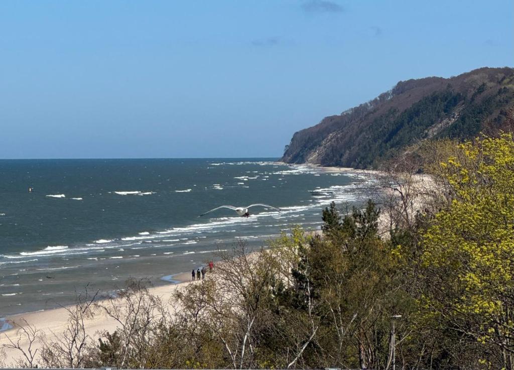 a beach with people walking on it next to the ocean at Baltic Infinity Suite 314 - SPA & Pool Access in Międzyzdroje