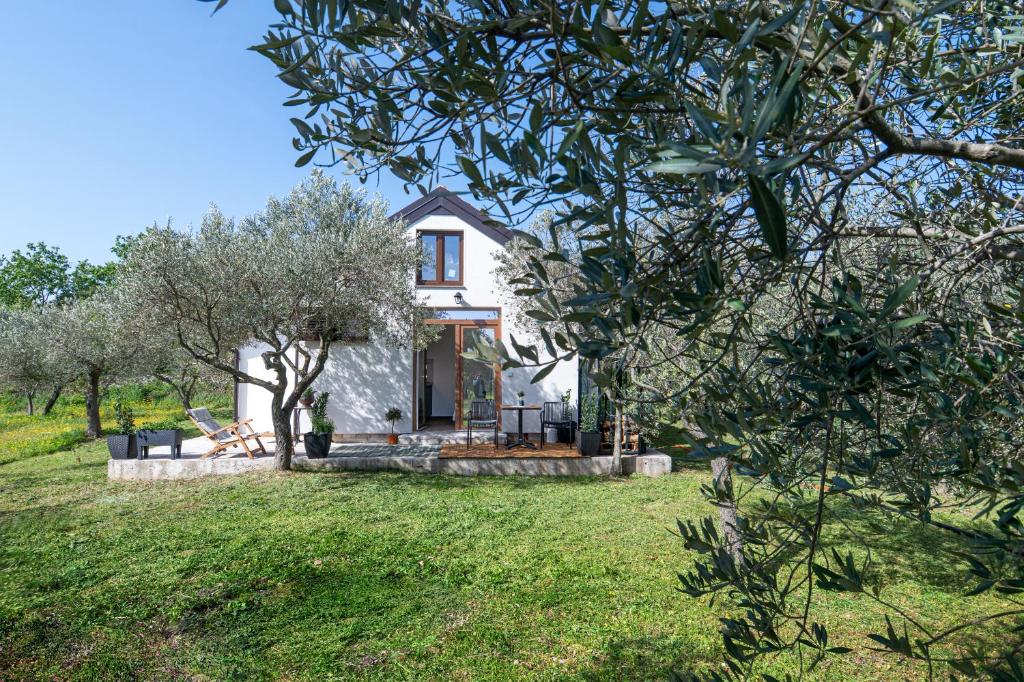 TrioBio - New Apartment for Two with Private Terrace, Garden & Parking