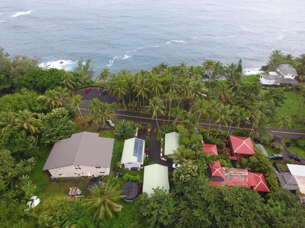 an aerial view of a resort with the ocean at Oceanfront Cottage Near the Kalapana Lava Flows in Kehena