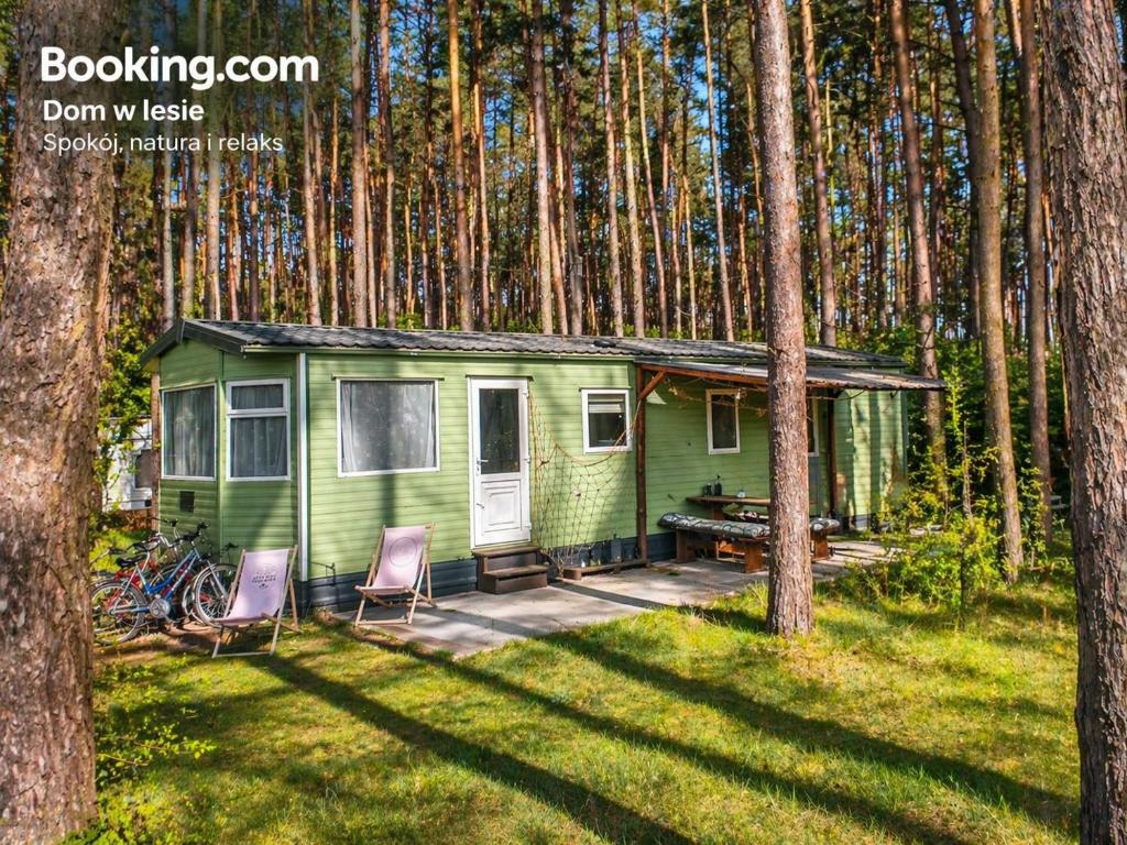 a green tiny house in the middle of trees at Odpocznij w Lesie in Biały Dwór