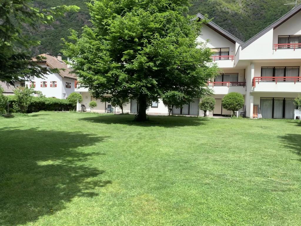 a tree in a yard in front of a building at Residence Gerold in Rablà
