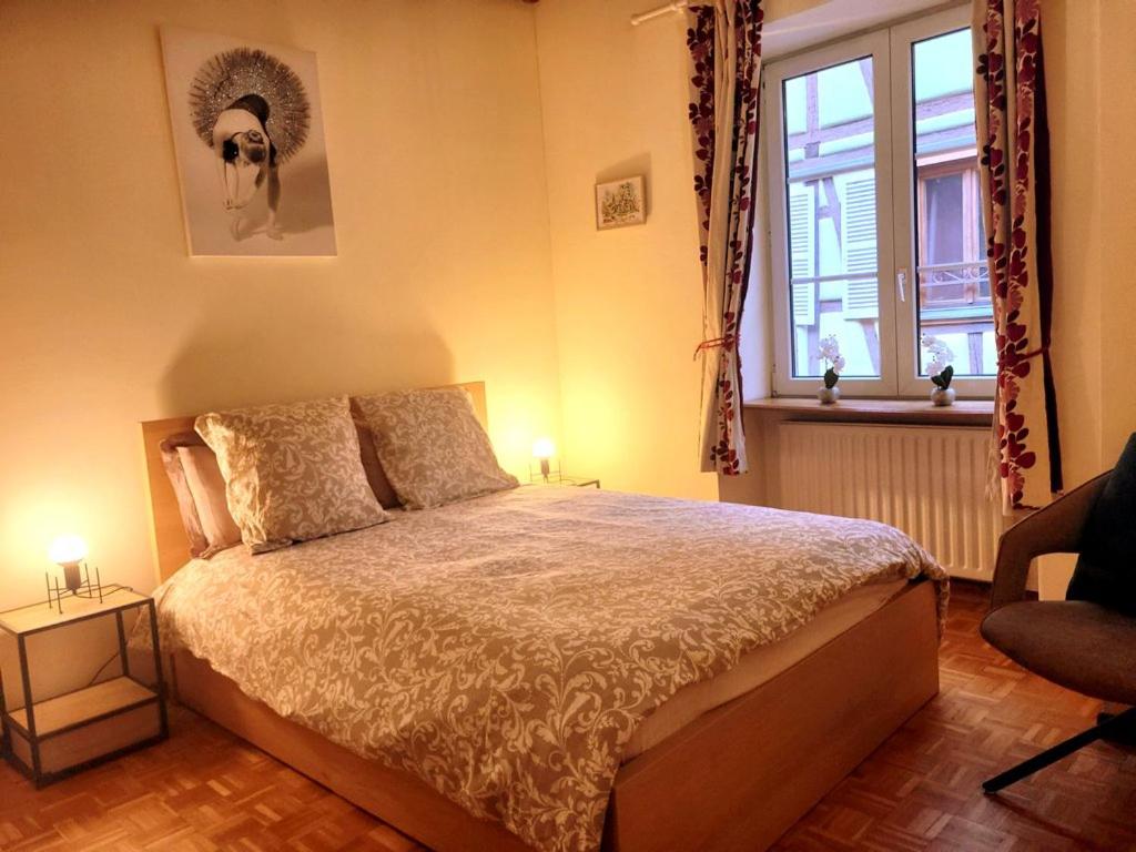 N¨°1 SCHONGAUER GITE DE CHARME CENTRE TOURISTIQUE COLMAR – photo 6