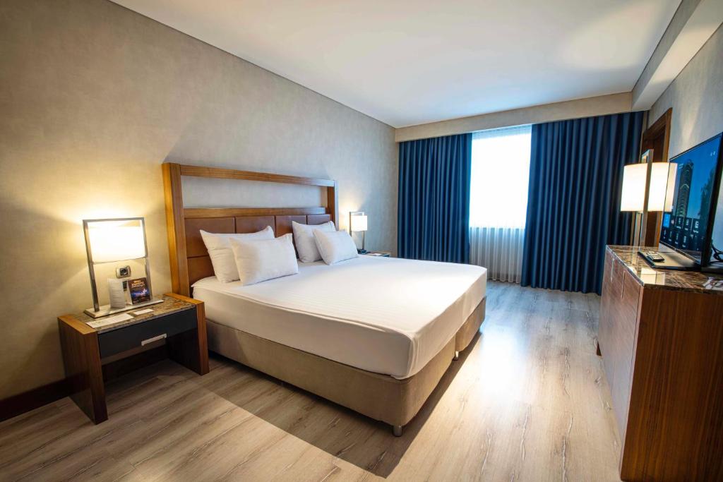 Dedeman Konya Hotel Convention Center - Suite De Lujo