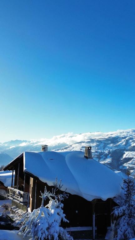 Wanderful Life Les Arcs refuge haut de gamme