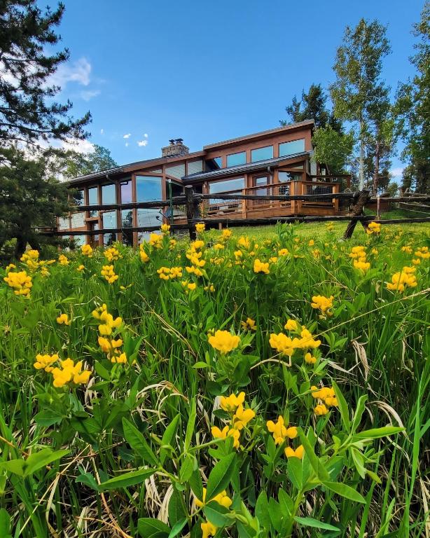 a field of yellow flowers in front of a house at Fairplay Coyote Cabin in Fairplay