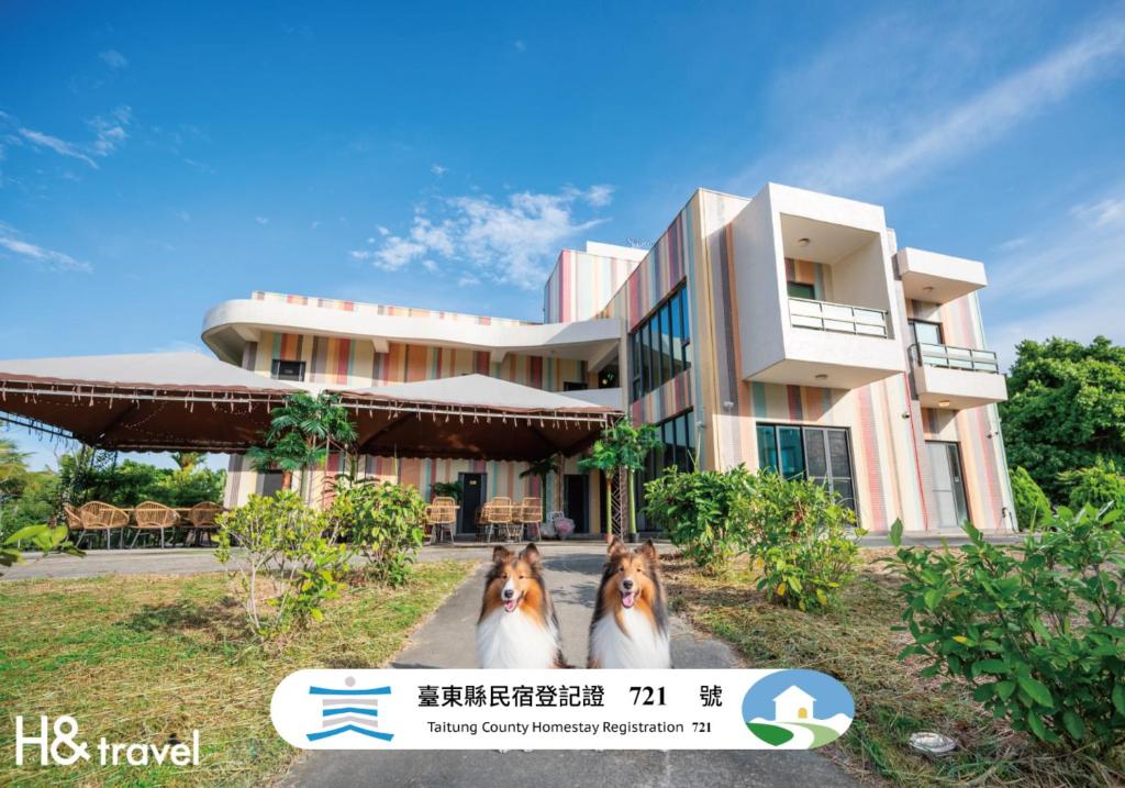 two dogs standing in front of a building at Taitung Rainbow Pet Friendly Maison Resort in Taitung City