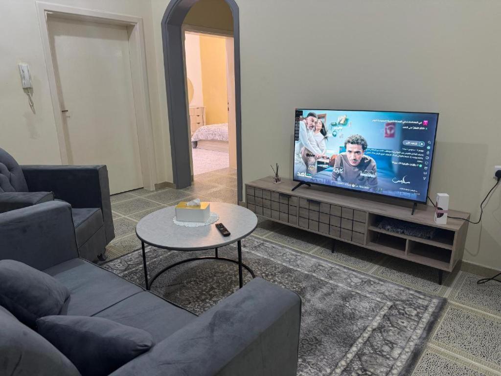 a living room with a couch and a tv at ANA Apartment in Hail