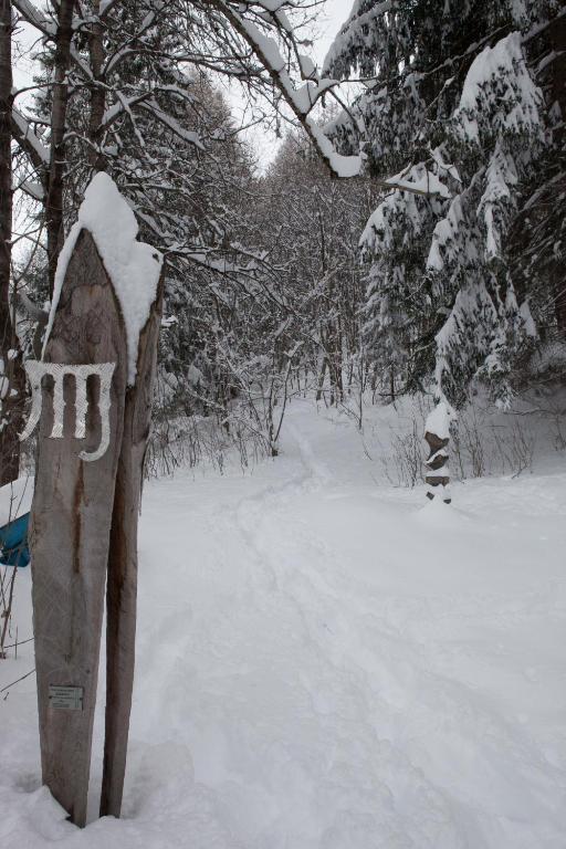 Etoile des Neiges v zime