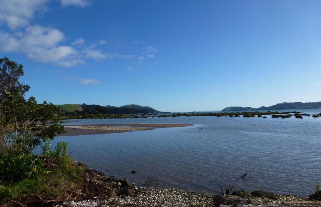 um grande corpo de água com árvores à distância em Oystercatcher Bay Boathouse em Coromandel Town