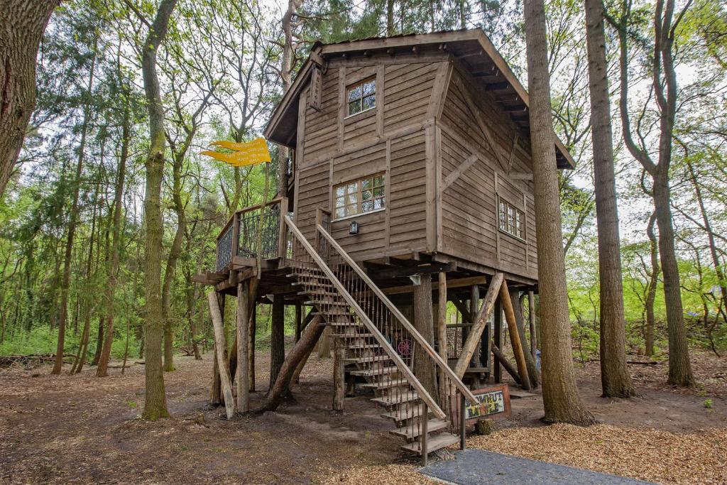 a tree house in the middle of the woods at Boomhut Drouwenerzand in Drouwen