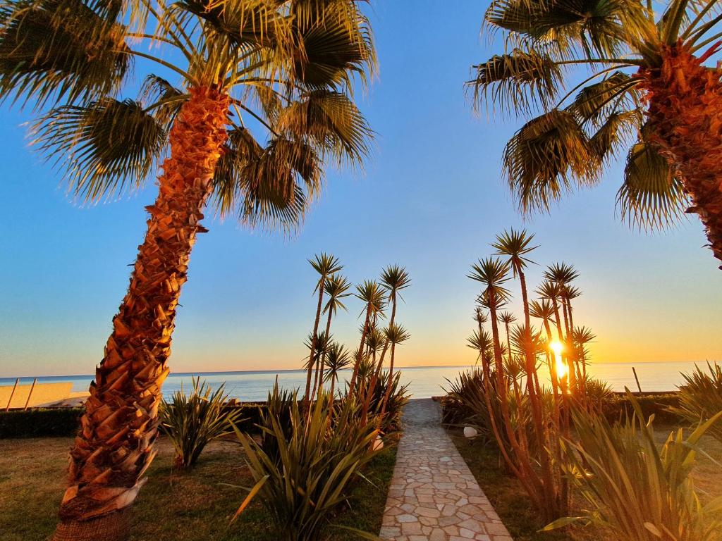 a palm tree with the ocean in the background at T2 les pieds dans l eau avec piscine in San-Nicolao