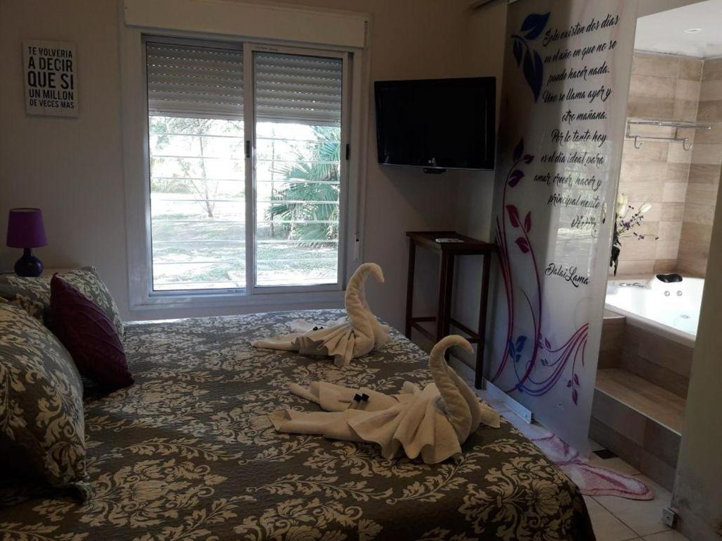 Refugio de Luna Termal