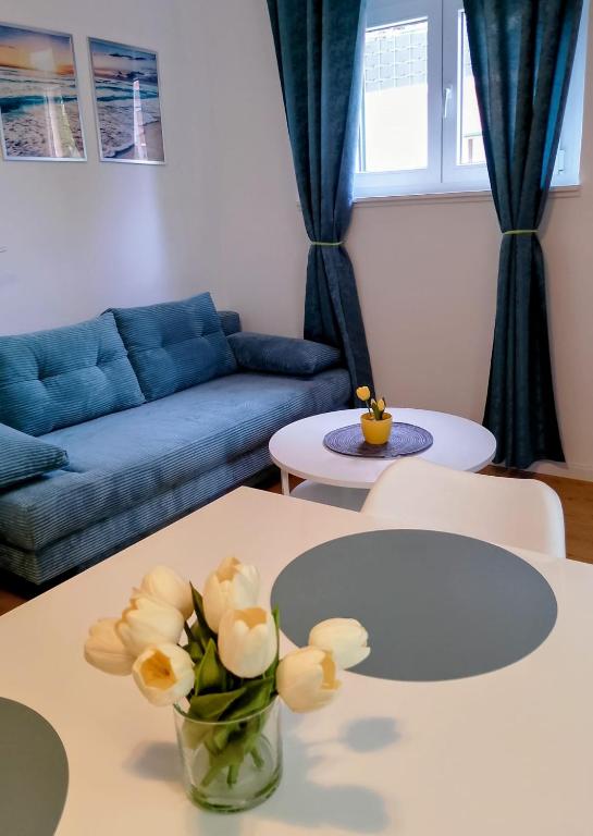 Apartman Tirkiz near Center with Free Parking