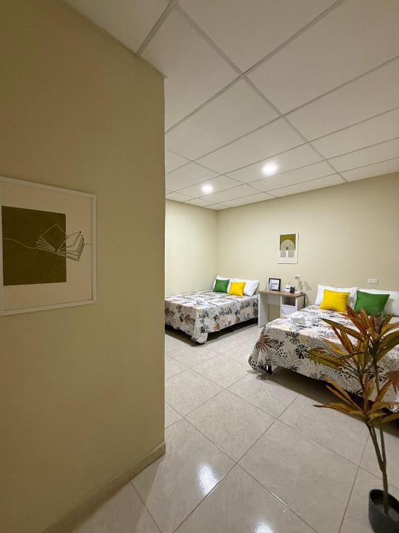 a room with two beds and a plant in it at Ducky 1 in San Miguel
