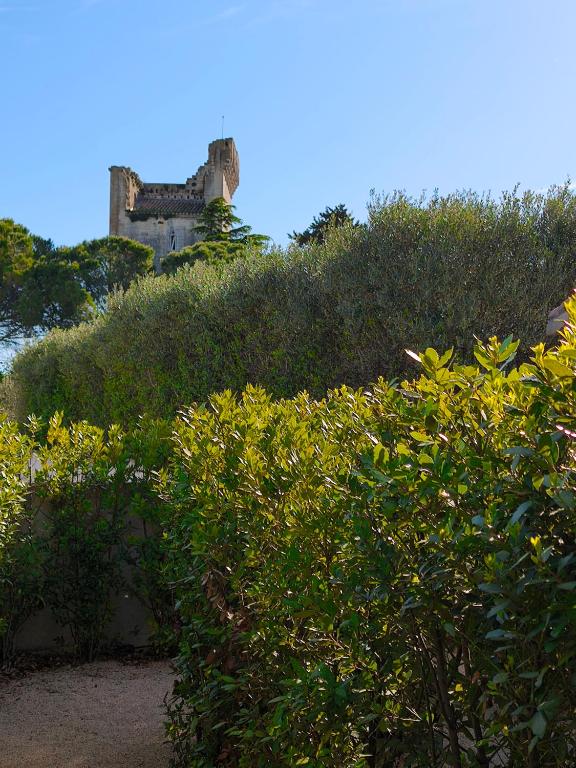 Gallery image of Abberoad en Provence in Fontvieille