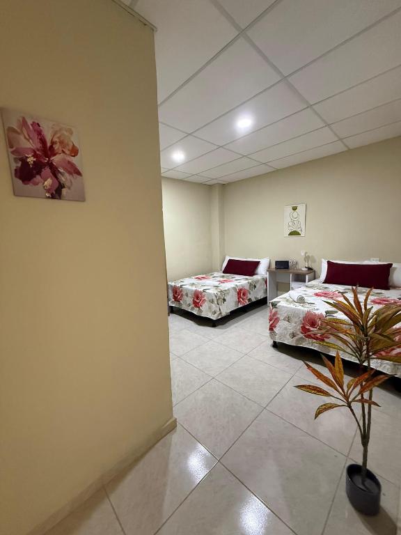 a room with two beds and a plant in it at Ducky4 in San Miguel