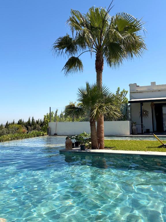 a swimming pool with two palm trees and a house at Meezane Farmhouse in Bir Jedíd Saint-Hubert