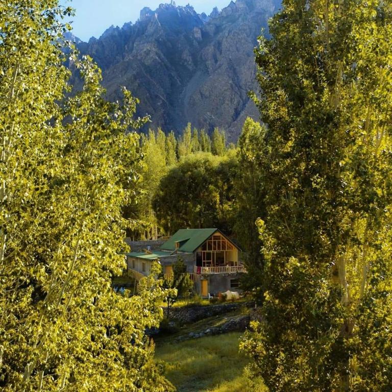 a house with a green roof in the middle of trees at Moksha Resort Hunza in Chamangul
