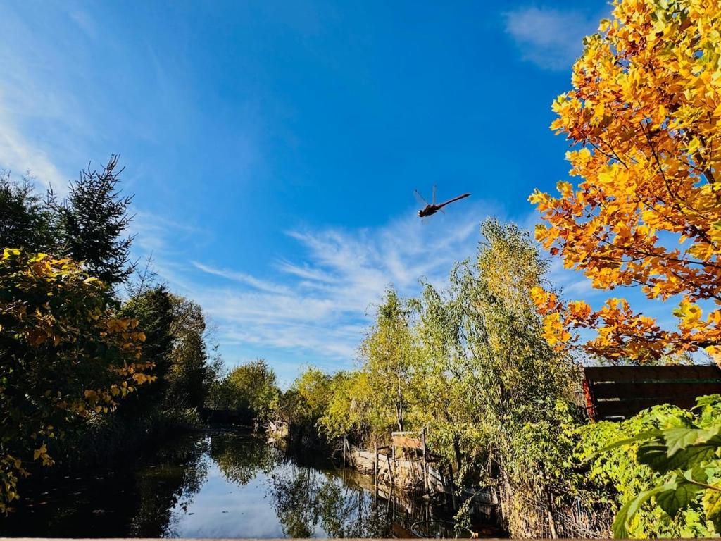 an airplane is flying over a river with trees at Beautiful Rustic Cabin in Prejmer