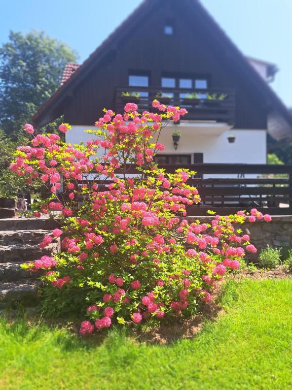 a bunch of pink flowers in front of a house at Pension Renata in Šediviny