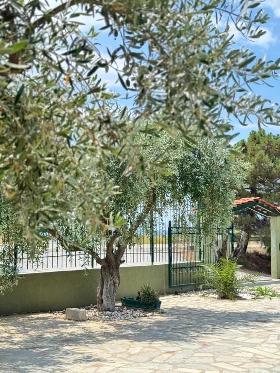 a tree in front of a fence at Άνεμος Home 2 in Kavála