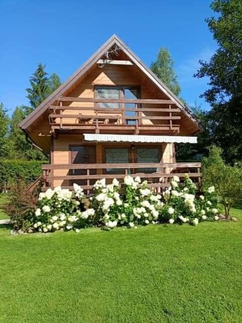 a house with white flowers in front of it at Domek Anusia in Brożówka