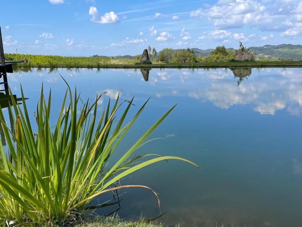 a body of water with a plant in the foreground at Wohlfühl Apartments am Hof Rapotz in Leutschach