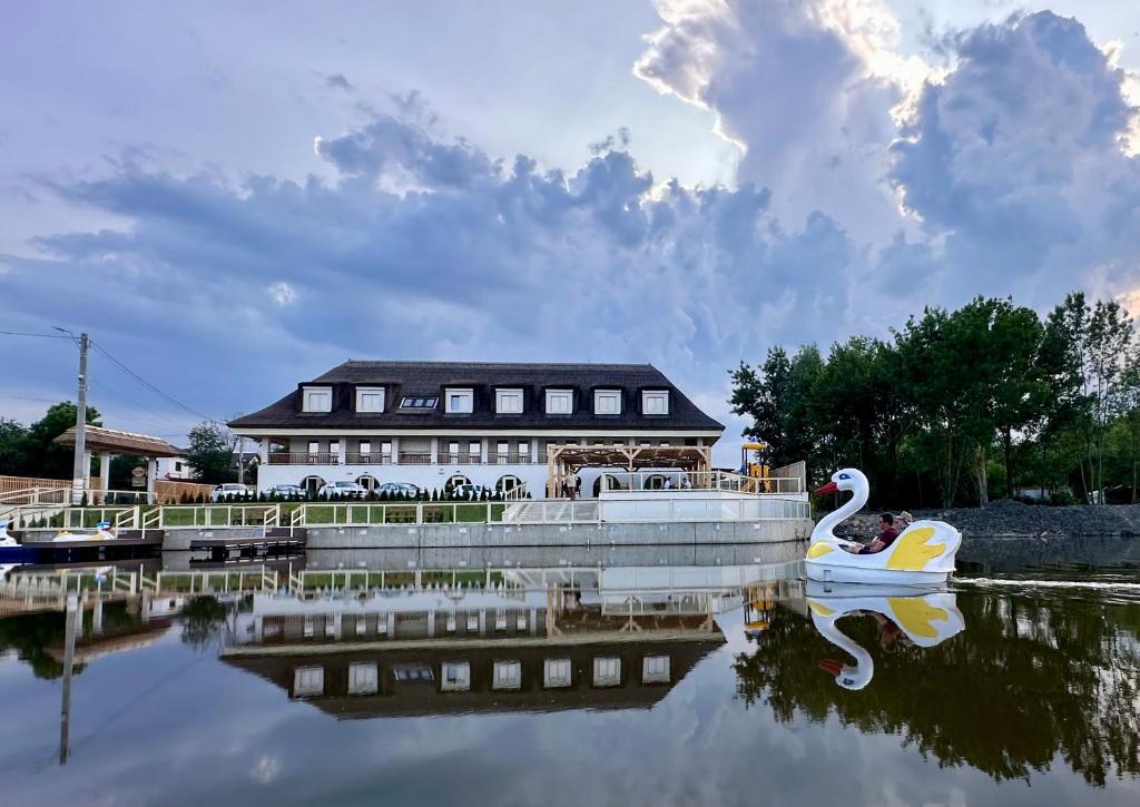 a swan boat on the water in front of a house at Pensiunea Bila in Naipu