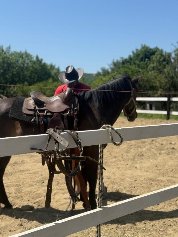 a man in a cowboy hat sitting on a horse at Horse Garden in Valea Groşilor