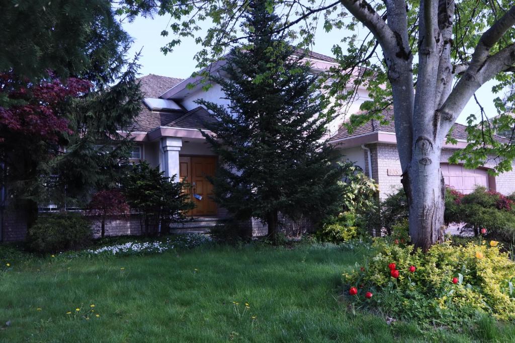 a white house with a tree in the yard at 7Bedroom Beautiful and spacious home in Surrey