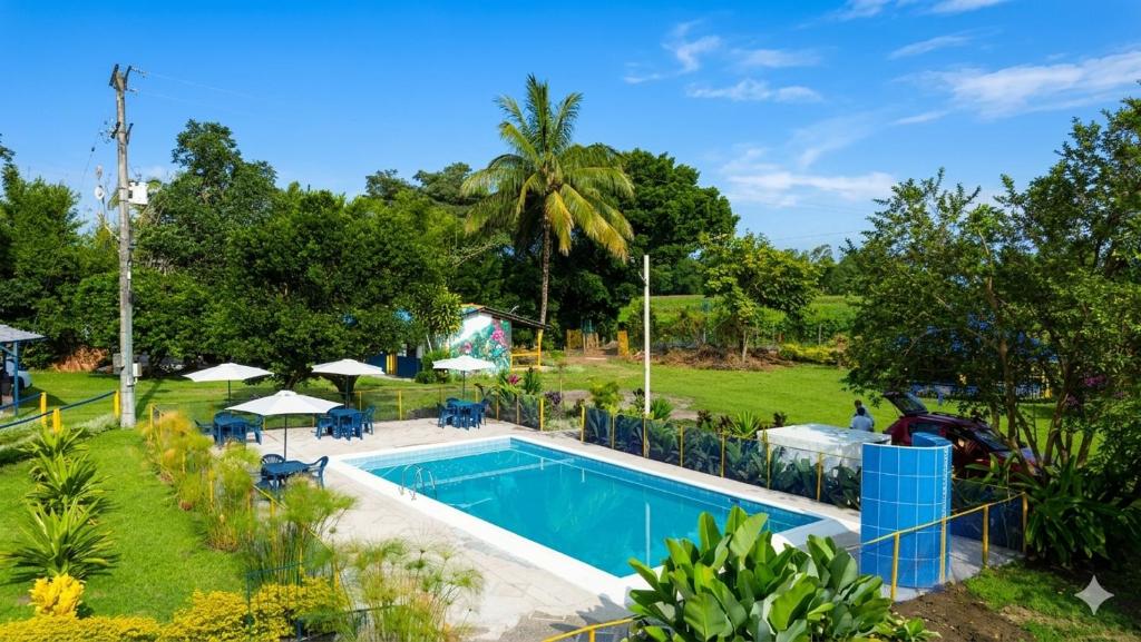 a pool in a yard with chairs and umbrellas at Finca Hotel La Herencia Cafetera in Montenegro