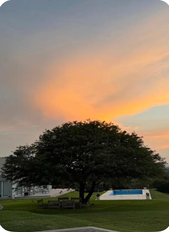 a tree in a park with benches under a sunset at Casa refugio in Santa María