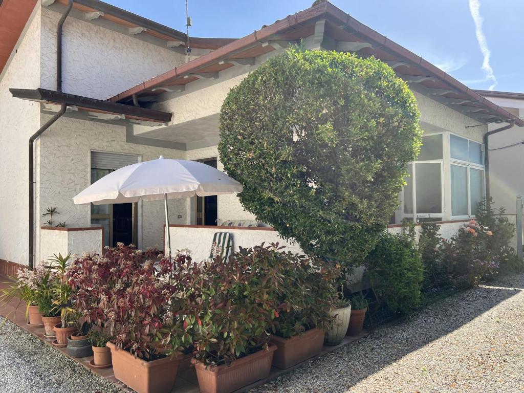 a bunch of potted plants in front of a house at Casa Nina in Marina di Massa