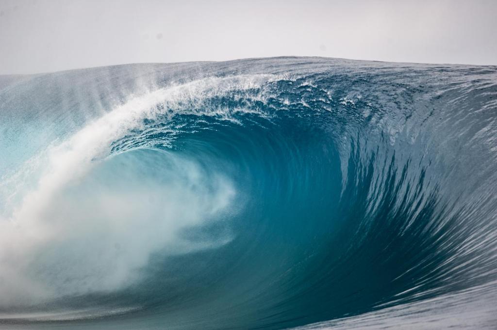ARIIMOE Hava'e - photo 10 - Tahiti, Polynésie