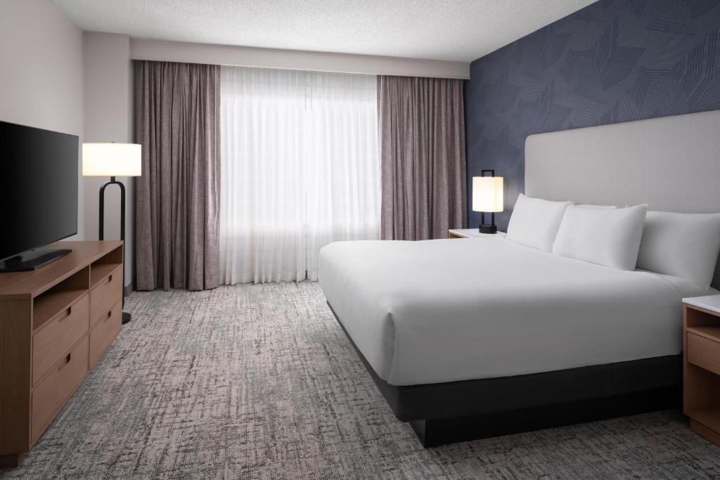 Embassy Suites by Hilton Franklin Cool Spring - Camera King - Accesso Disabili/Non Fumatori