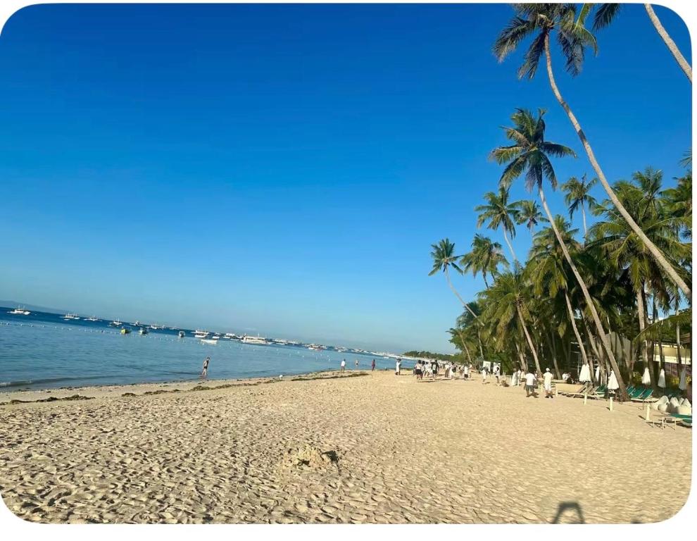 a sandy beach with palm trees and the ocean at Peipers Inn in Panglao Island